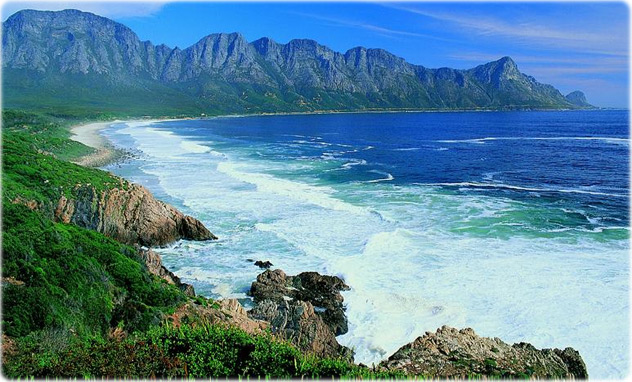 Região Floral do Cabo