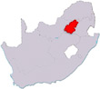 Gauteng local