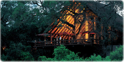 Kruger Lodge