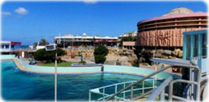 Port Elizabeth Dolphinarium