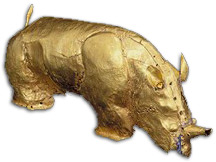 Rinoceronte Ouro