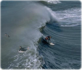 Surf Jeffreys Bay
