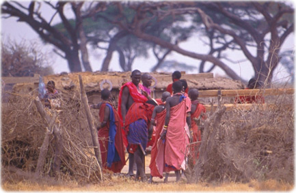 Masai Amboseli