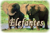 Elefantes