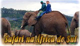 Safari Africa do Sul