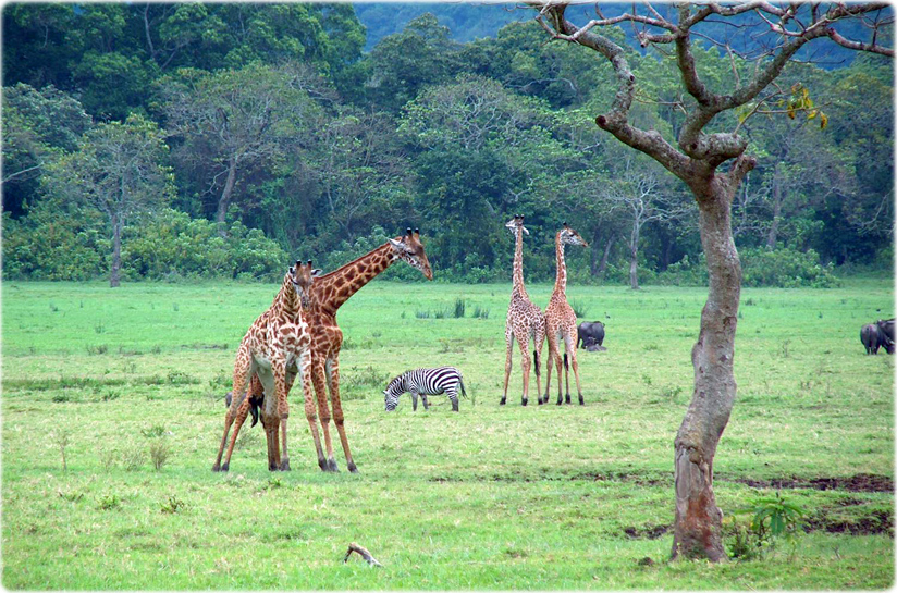 Parque nacional